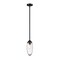 Z-Lite Arden Pendant, 1-Light, 4.5 In.W x 11.5 In.H, Matte Black/Clear 651P-ROD-MB - alternate 1